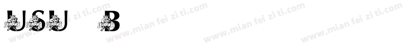 USU Bold字体转换